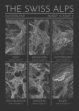 The Swiss Alps Topographic Contour Map