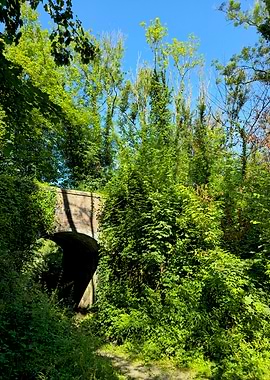 Summer's Embrace - Hidden Archway