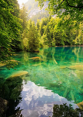 Blausee Turquoise Lake Surrounded by Lush Forest