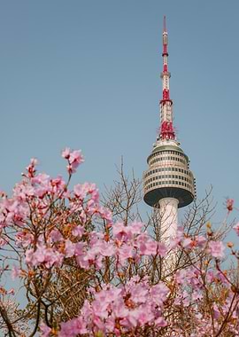 Namsan Tower in Seoul, South Korea with Pink Flowers
