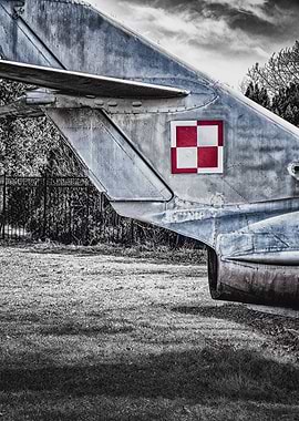 Polish Aircraft Tail Section