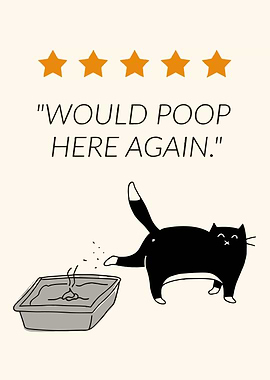 Cat Litter Box Review