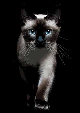 Siamese Cat Portrait on Black Background