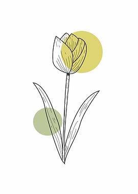 Minimalist Flower Line Art