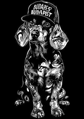 Budapest Dog with Cap