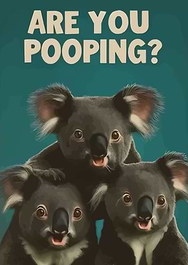Are You Pooping? Koala