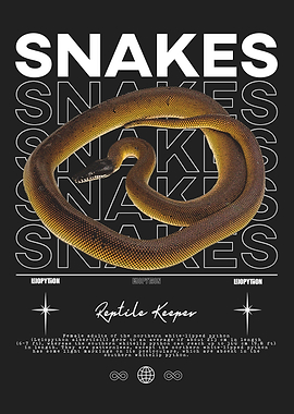 White Lipped Python Reptile Keeper