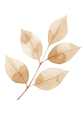 Watercolor Brown Leaves on White Background
