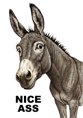 Funny Nice Ass Donkey