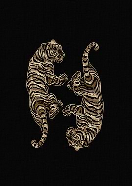 Golden Tigers on Black Background