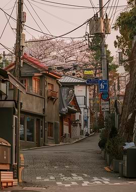 Monring in Urban Seoul with Cherry Blossoms