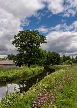 Scenic River Landscape with Cloudy Sky