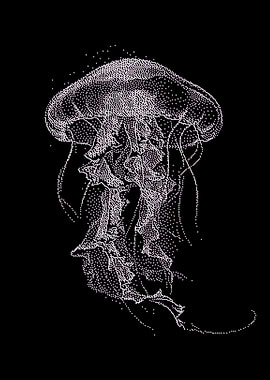 Jellyfish Stipple Art on Black Background