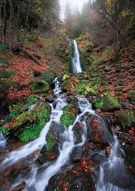 Waterfall in Autumn Forest