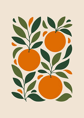 Orange Fruit Botanical Illustration