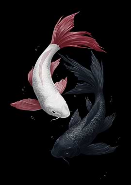 Yin Yang Koi Fish Illustration