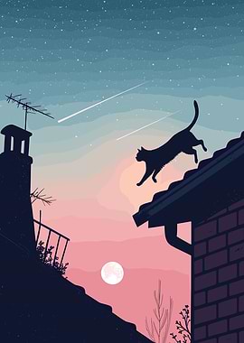 Cat on Rooftop at Night