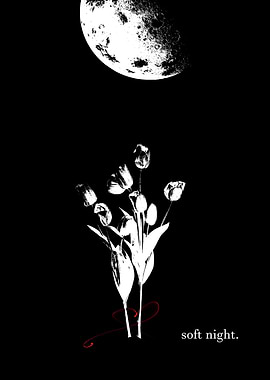 Tulips under the moon, soft night