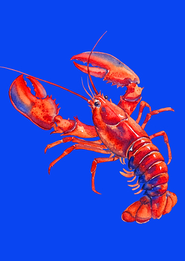 Watercolor Lobster on Blue Background