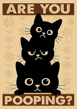 Are You Pooping? Cats