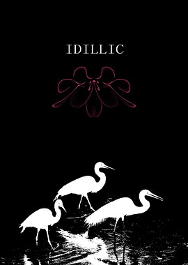 Idyllic Cranes in Black and White