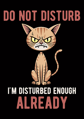Do Not Disturb Angry Cat