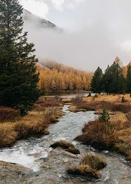 Mountain Stream in Autumn Landscape