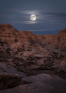 Desert Landscape with Full Moon