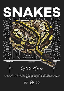 Royal Python Reptile Keeper