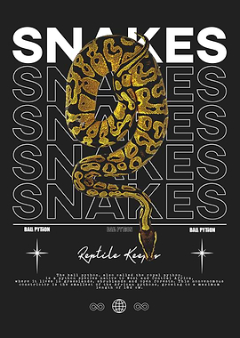 Ball Python Reptile Keeper
