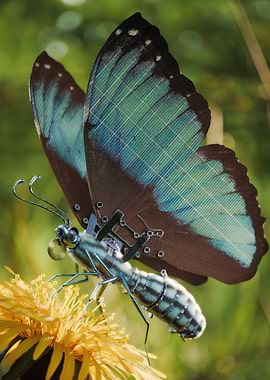 Mechanical Butterfly on Dandelion
