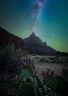 Night Sky over Zion National Park - Milky Way Galaxy Landscape