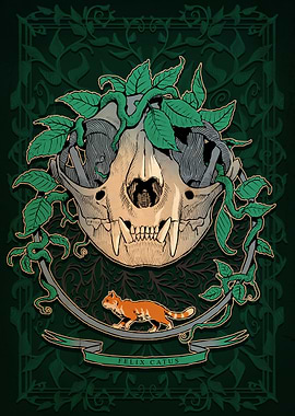 Cat Skull Illustration