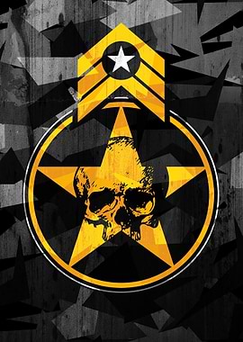 Military Skull Star Graphic