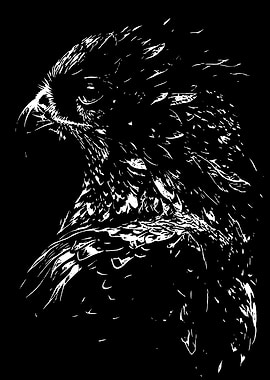 Eagle Portrait - Black and White