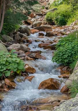 Mountain Stream Flowing Over Rocks