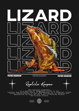 Panther Chameleon Lizard Owner