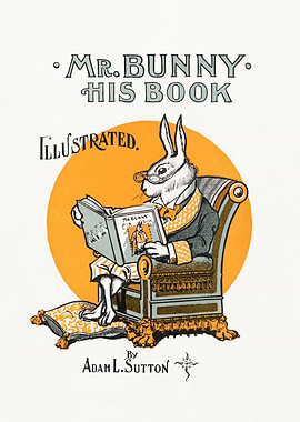 Mr. Bunny His Book