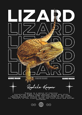 Bearded Dragon Reptile Keeper