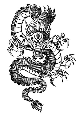 Detailed Black and White Dragon Illustration