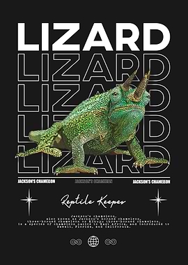Jackson's Chameleon Reptile Keeper