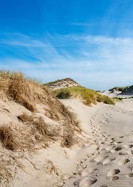 Sand Dunes Landscape with Footprints