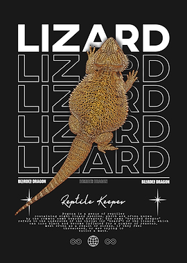 Bearded Dragon Lizard Reptile Keeper