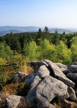 Scenic Mountain View with Rocks and Trees