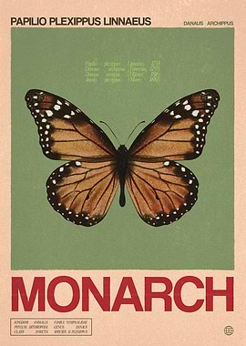 Monarch Butterfly Vintage Style Print