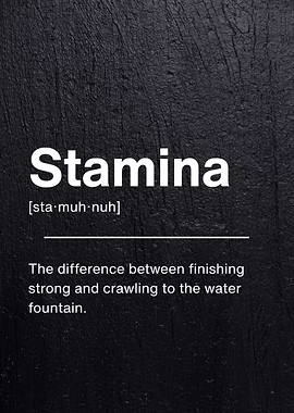 Stamina Definition