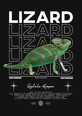 Veiled Chameleon Reptile Keeper
