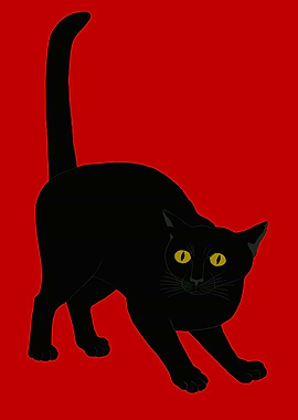 Black Cat on Red Background
