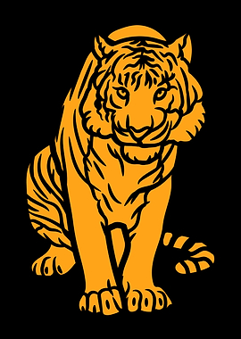 Orange Tiger on Black Background