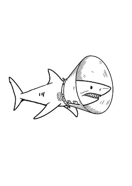 Shark with Cone of Shame